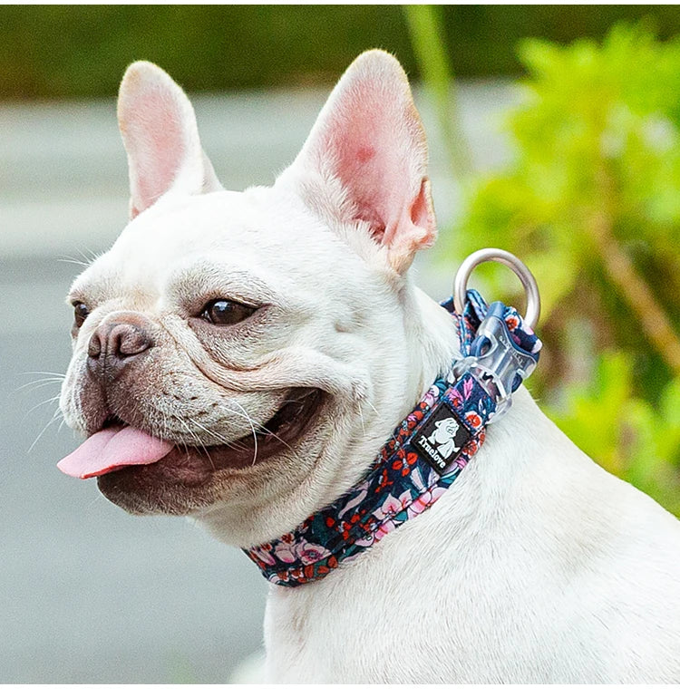 Truelove Floral Pet Collar
