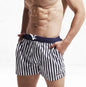 Striped Quick-Dry Lined Boardshorts | Men's Swimwear