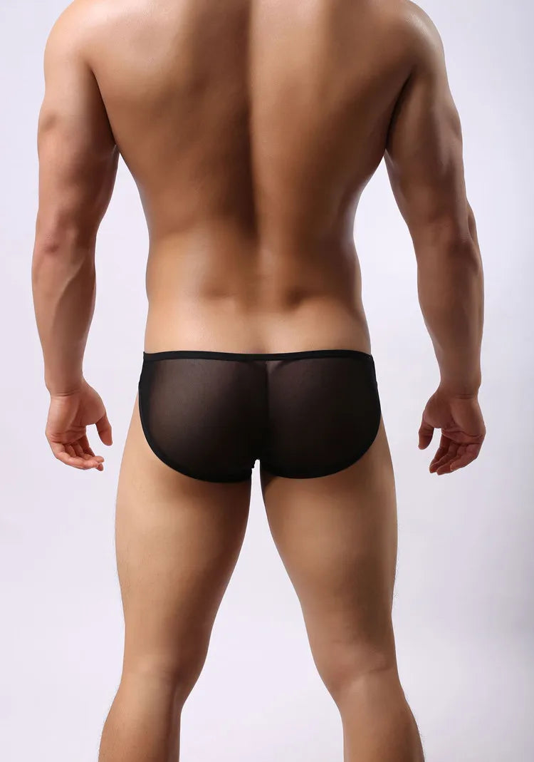 BRAVE PERSON Mesh Men's Briefs - Sexy Transparent Underwear in 4 Colours, High Quality, Free Shipping B1142