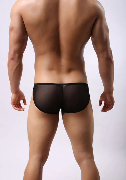 BRAVE PERSON Mesh Men's Briefs - Sexy Transparent Underwear in 4 Colours, High Quality, Free Shipping B1142