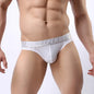 BRAVE PERSON Men's Sexy Underwear Low-Waist Bikini Briefs for Men Size S-XL