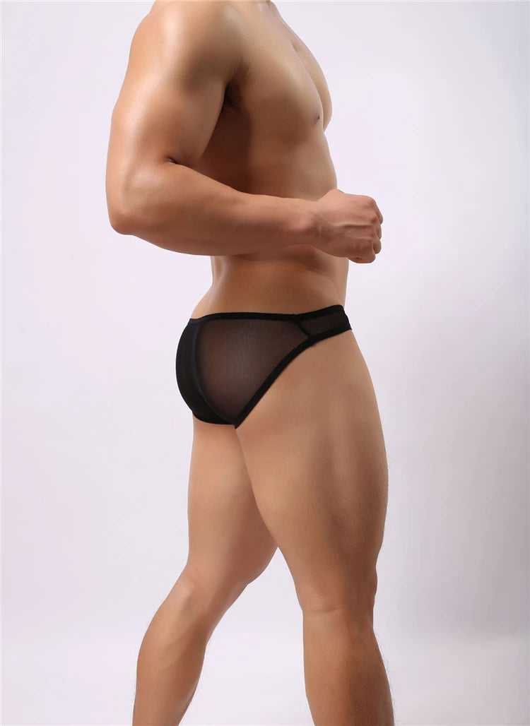 BRAVE PERSON Mesh Men's Briefs - Sexy Transparent Underwear in 4 Colours, High Quality, Free Shipping B1142