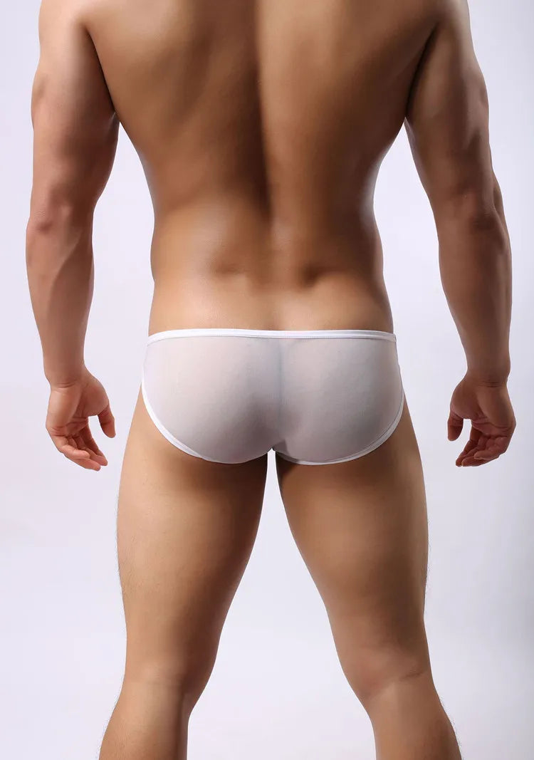BRAVE PERSON Mesh Men's Briefs - Sexy Transparent Underwear in 4 Colours, High Quality, Free Shipping B1142