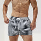 Striped Quick-Dry Lined Boardshorts | Men's Swimwear