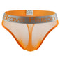BRAVE PERSON Transparent Men's Briefs - Low-Waist Mesh Gauze Breathable Underwear