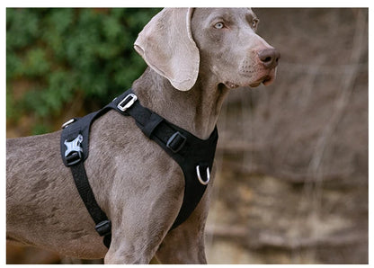 Truelove Dog Light Weight Harness Adjustable