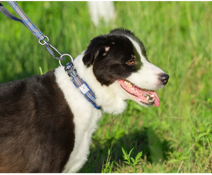 TRUELOVE Pet Collar Best Neoprene Padded 3M Reflective Dog Collar for Large Medium Small Bonus Dog Tracker Tag Feature YC1854