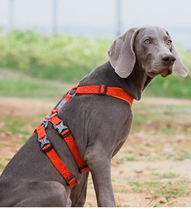 TRUELOVE  Pet Harness Double-H Nylon Personalized Dog Harness NO PULL Reflective Breathable Adjustable YH1803