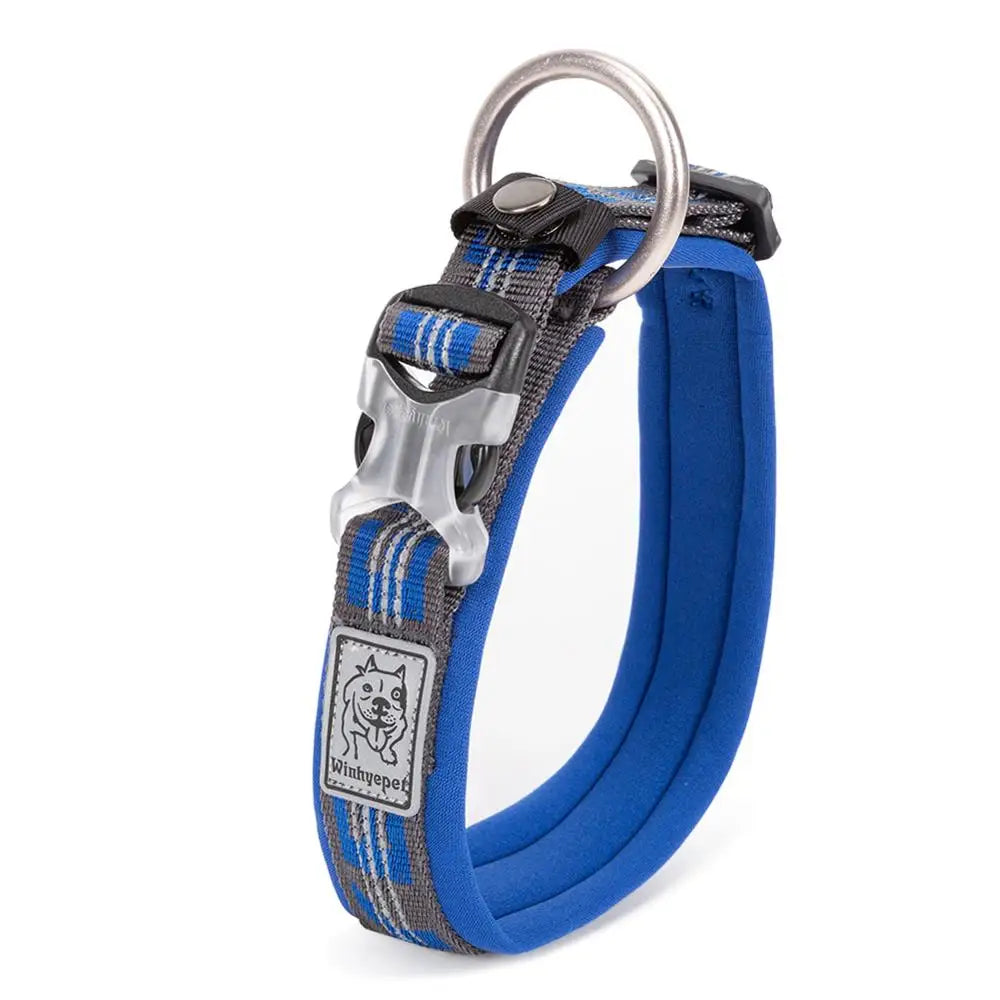 TRUELOVE Pet Collar Best Neoprene Padded 3M Reflective Dog Collar for Large Medium Small Bonus Dog Tracker Tag Feature YC1854