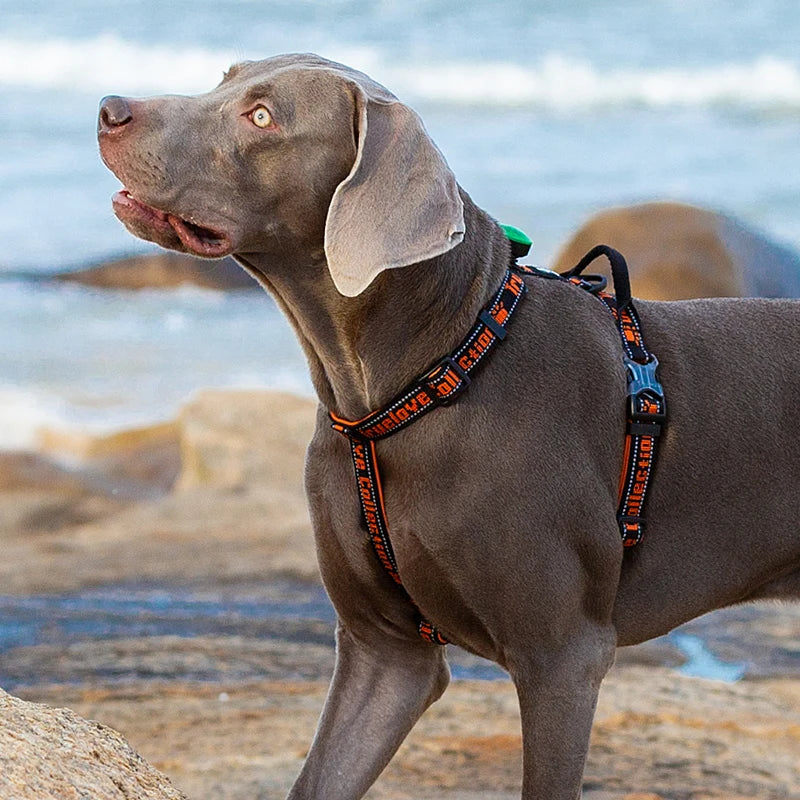 Truelove Dog Harness Tactical no-pull harness