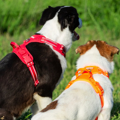 TRUELOVE Pet Harness Nylon Reflective Comfortable and Breathable Explosion-proof Small Medium Large Outdoor Camping HP5652