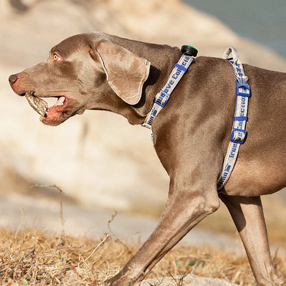 Truelove Dog Harness Tactical no-pull harness
