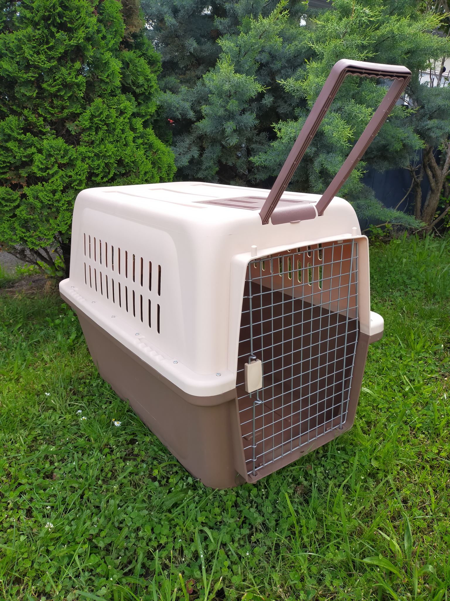 PP50 81cm - Wheeled Plastic Airline Travel Cage/Carrier/Crate with Bowl dealonline.co.nz