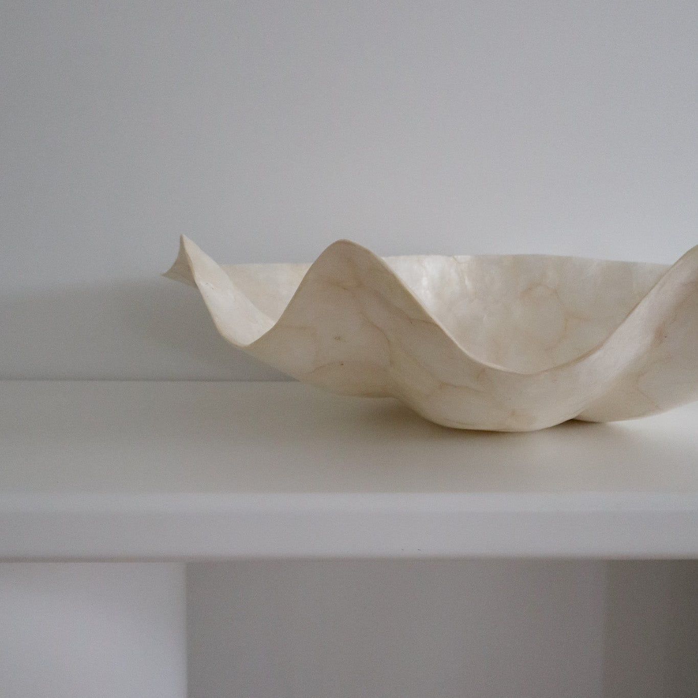 Pearl Clam Shell Inkah Limited