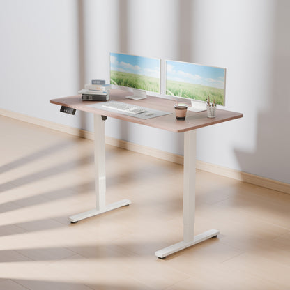Electra Ergo Single Motor Sit Stand Desk Walnut with White Legs 1.2m sue-e furniture