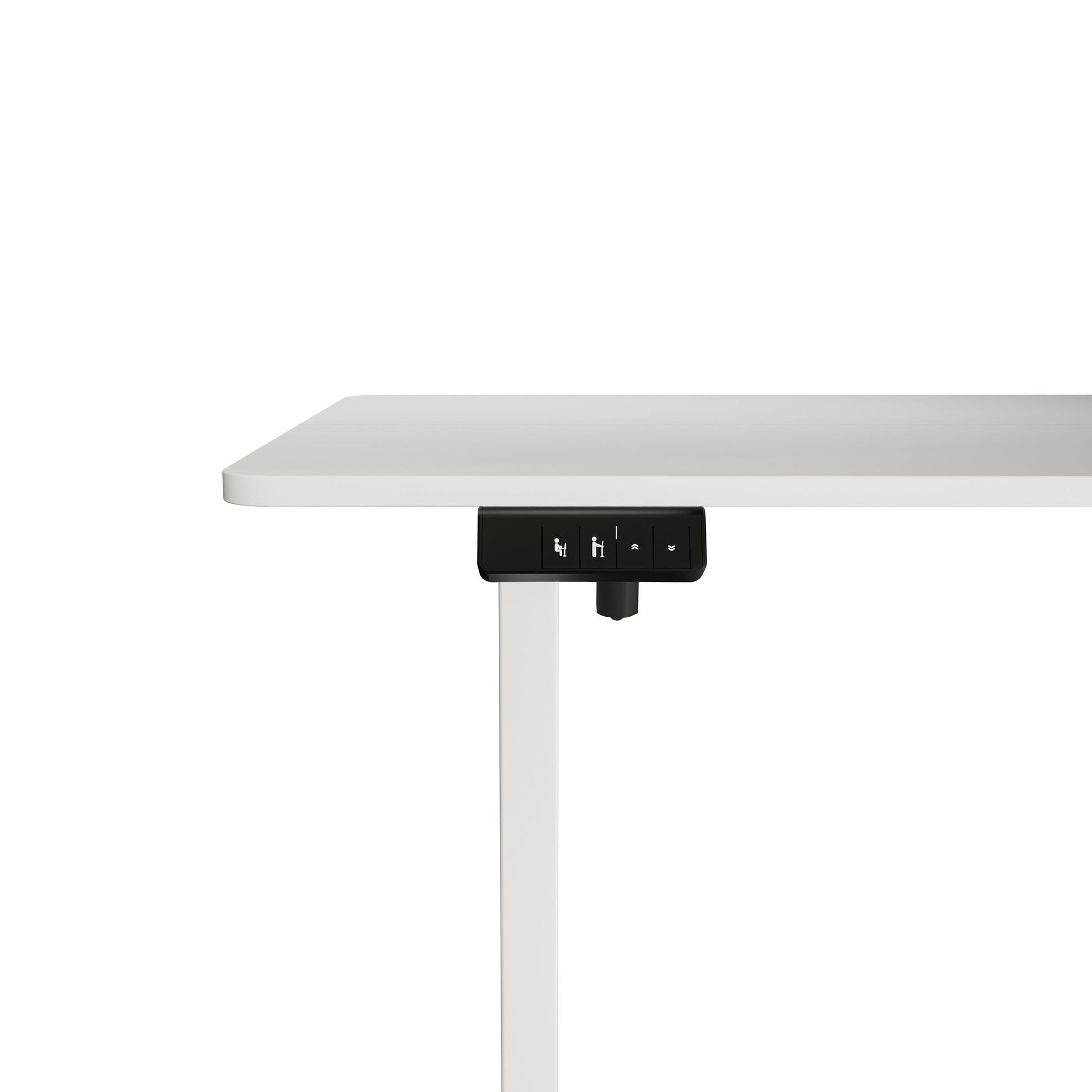 Electra Ergo Single Motor Sit Stand Desk White 1.2m sue-e furniture