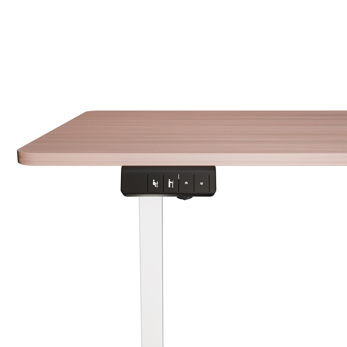 Electra Ergo Single Motor Sit Stand Desk Walnut with White Legs 1.2m sue-e furniture