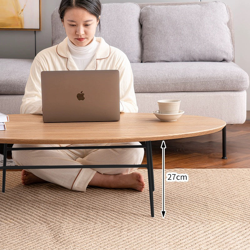 Elegant Oval Coffee Table sue-e furniture