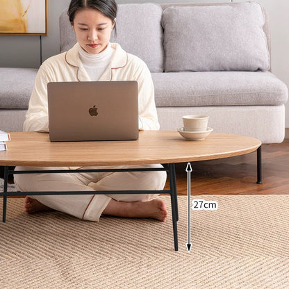 Elegant Oval Coffee Table sue-e furniture
