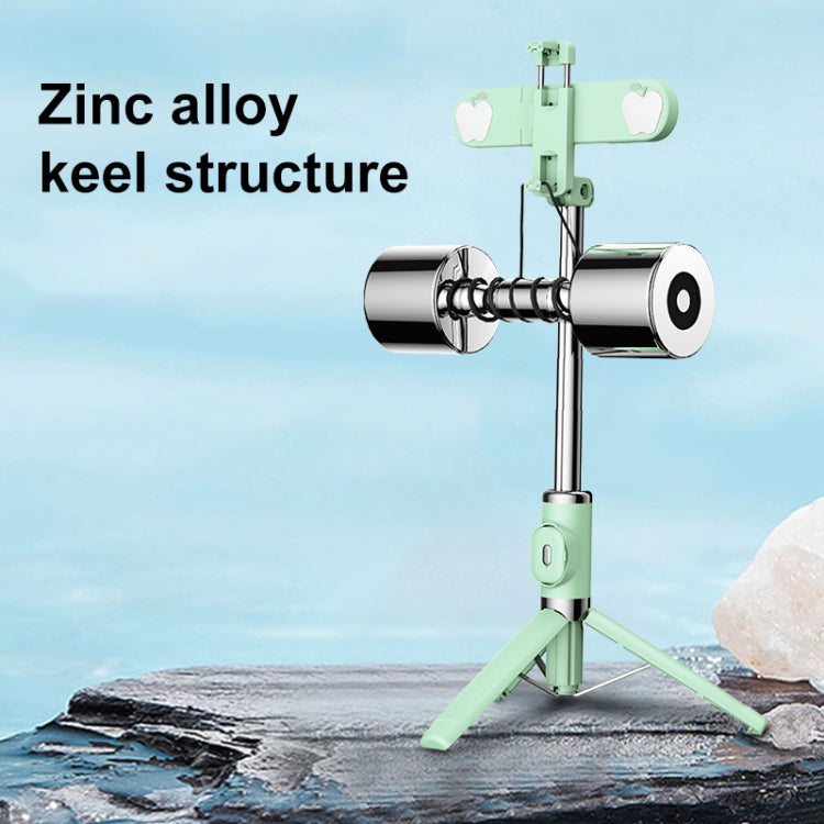 Bluetooth Remote Control Dual Fill Light Tripod Selfie Stick