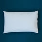 MiteGuard Pillow Cover - Standard Sizes MiteGuard