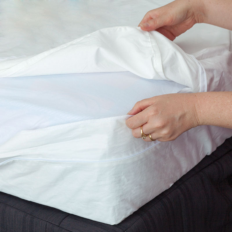 MiteGuard Cotton Mattress Cover MiteGuard