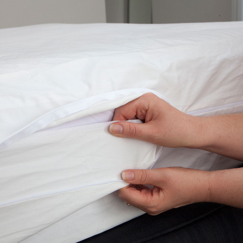 MiteGuard Cotton Mattress Cover MiteGuard