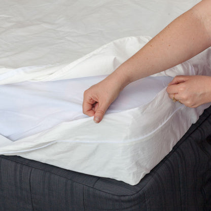 MiteGuard Cotton Mattress Cover MiteGuard
