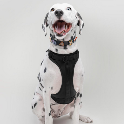Dog Collar | Black Walkieez