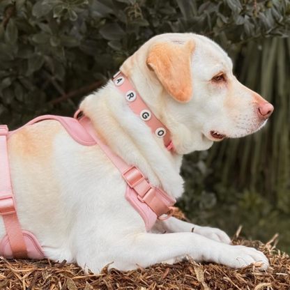 Dog Collar | Blush Pink Walkieez