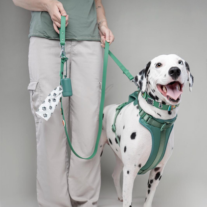 Dog Harness | Green Walkieez