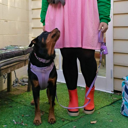 Dog Poop Bag Holder | Lilac Walkieez