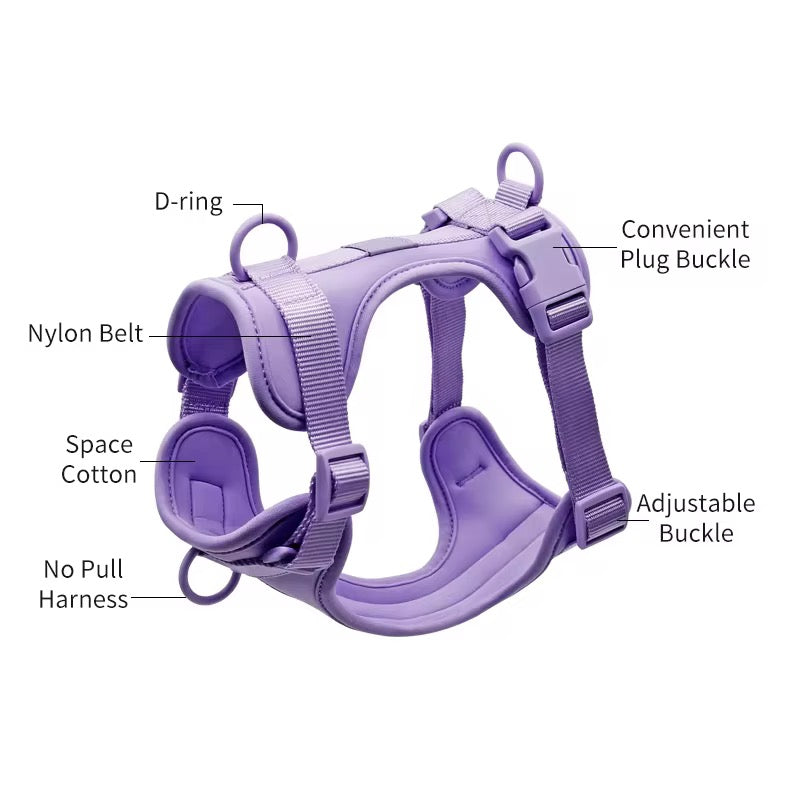 Dog Harness | Lilac Walkieez