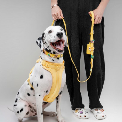 Dog Poop Bag Holder | Yellow Walkieez