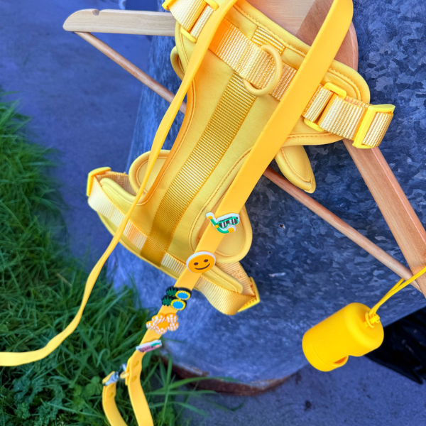 Dog Poop Bag Holder | Yellow Walkieez