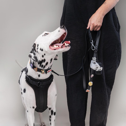Dog Harness | Black Walkieez