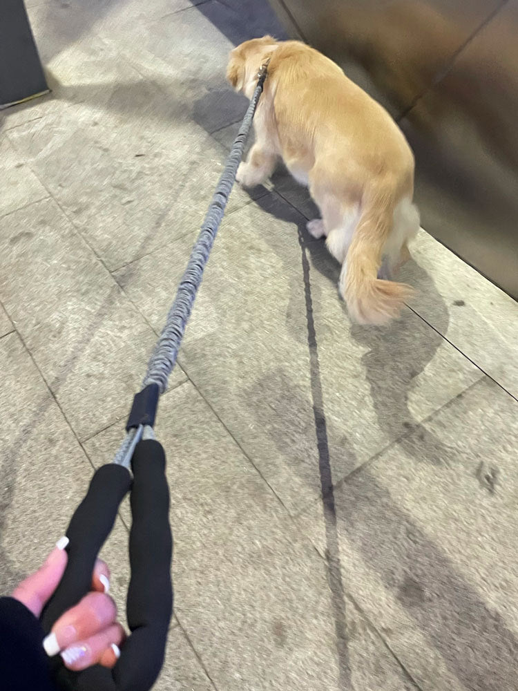 Dog Leash Heavy Duty 80-105cm Shock Absorbing Bungee with Handle BK dealonline.co.nz