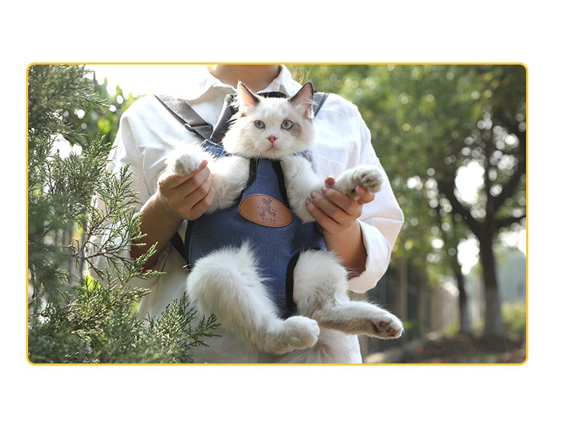Pet/Puppy Travel Carry Bag, Blue, Medium dealonline.co.nz