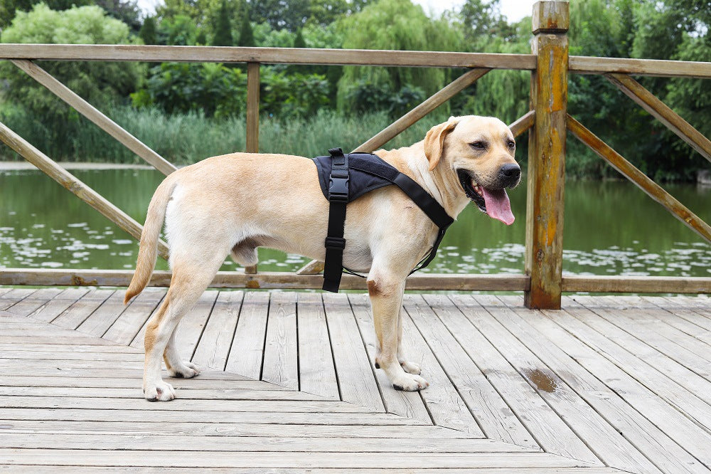LARGE-BLACK Dog Harness Set Pet Adjustable Chest Strap Walking Collar Vest dealonline.co.nz