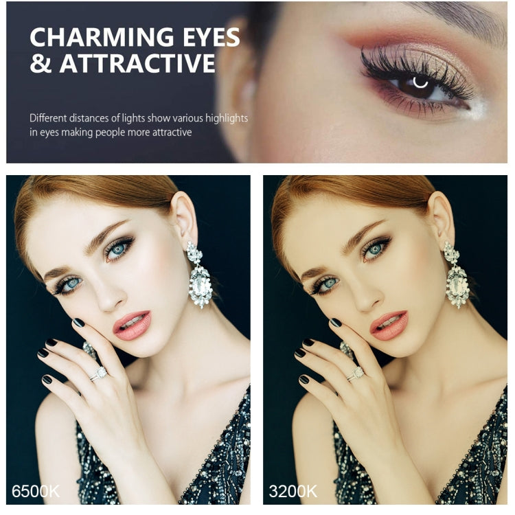 PULUZ Tripod Mount +  Extension Rod + Live Broadcast Dual Phone Bracket + 6.2 inch 16cm LED Ring Vlogging Video Light Kits