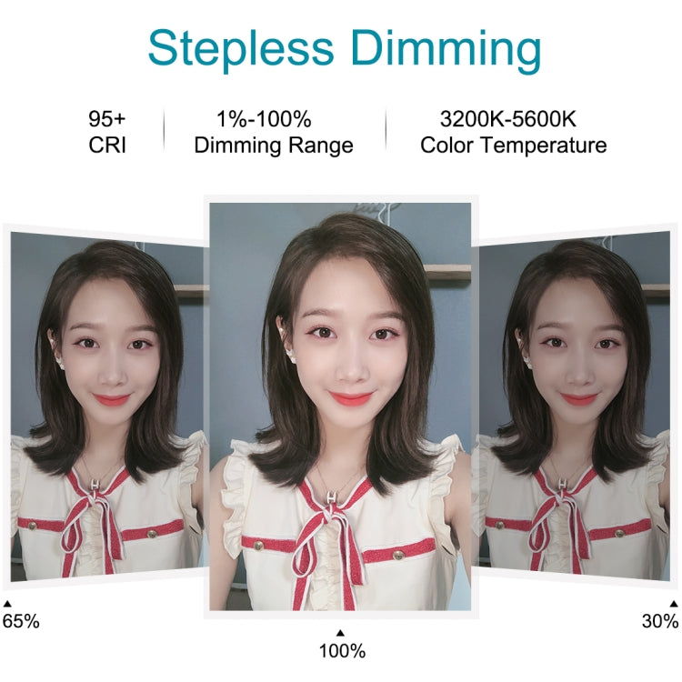 PULUZ 7.9 inch 20cm USB 3 Modes Dimmable Dual Color Temperature LED Curved Light Ring Vlogging Selfie Photography Video Lights with Phone Clamp