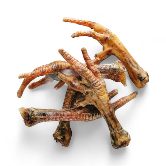Chicken Feet Dog Treats DogTreatNZ