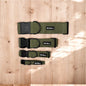 Dog Treat Collars DogTreatNZ