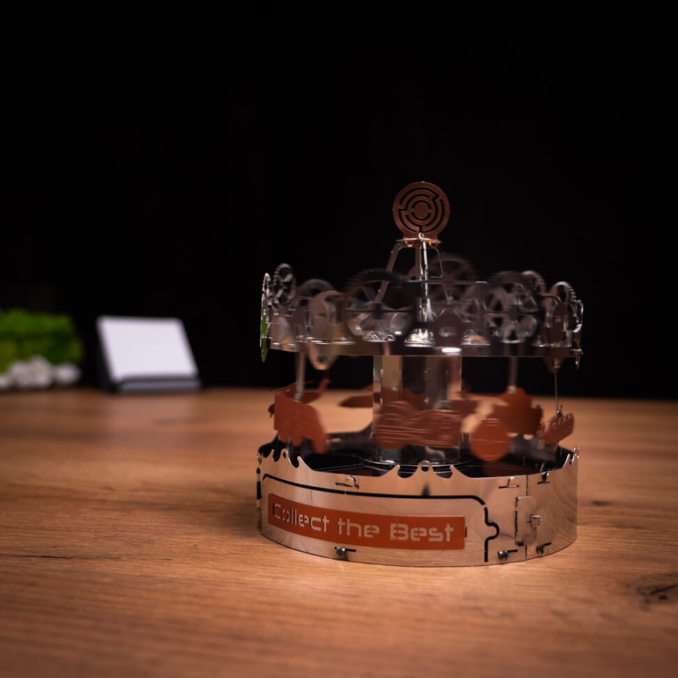 RIDING THE BEST CAROUSEL-4