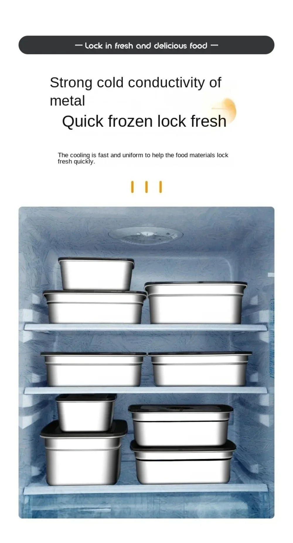 Stainless Steel Lunch Box