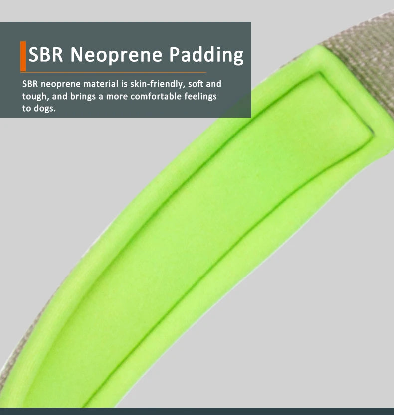 Truelove Double H Harness Neoprene Padding Durable Strong Reflective Gow in the Dark Aluminum Alloy Fitting Light Weight TLH6571
