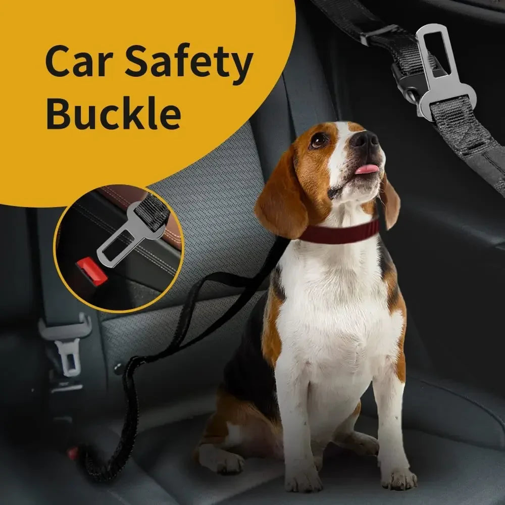 Nylon Hands-Free Dog Leash (2.5×250cm) Habicare