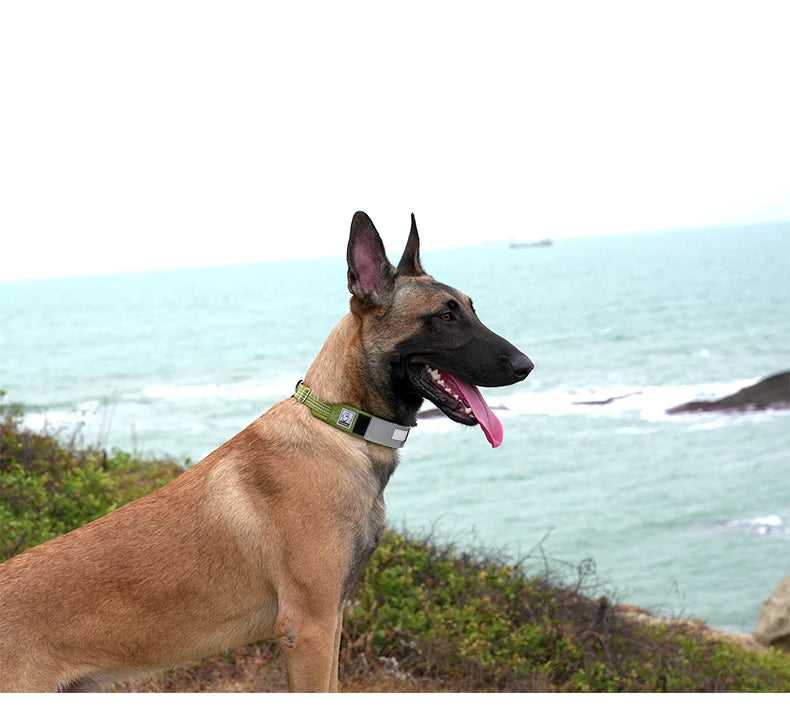 Truelove Pet Collar Reflective Multifunctional Dog Collar