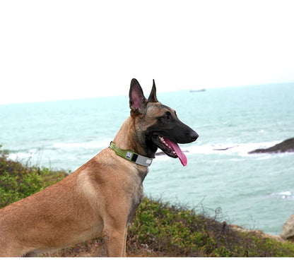 Truelove Pet Collar Reflective Multifunctional Dog Collar