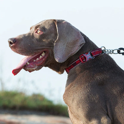 Truelove Dog Collar P-Chain Outdoor Nylon High Quality Stainless Steel Chain
